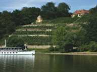 Dinglingers Weinberg