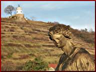 Auf Schloss Wackerbarth. Im Hintergund die Volkssternwarte Adolph Diesterweg. Bild: UVS