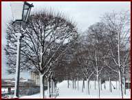 Brühlsche Terrasse