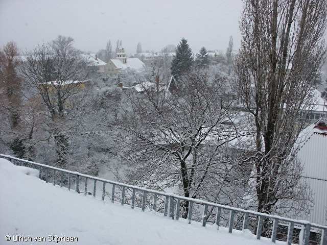 pict9555.jpg