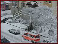 PICT9558.JPG